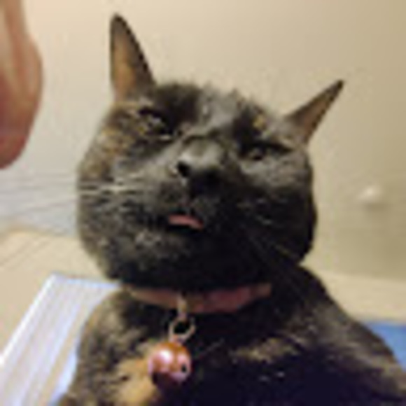 Meet your Posher, Andrew - Picture 1 of 1